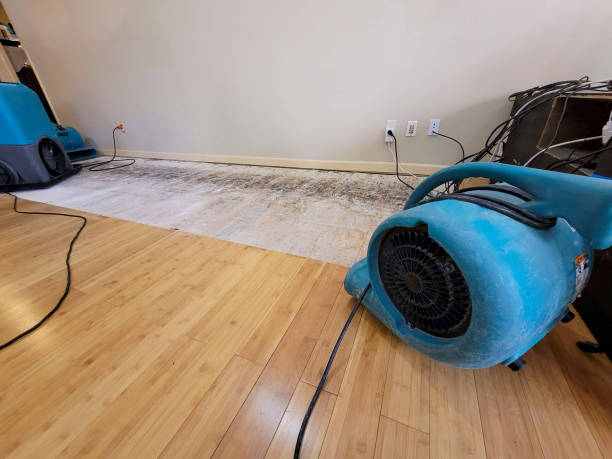 Professional Water Damage Repair technician working in Glenwood, IA
